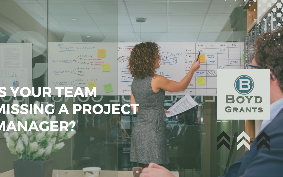 Is Your Dream Team Missing Something?  A Project Manager!